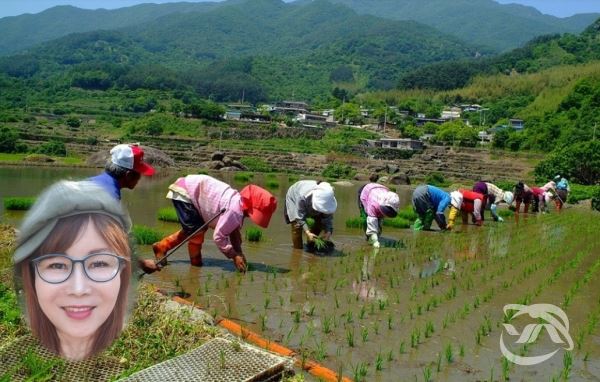 사진=무료이미지 픽사베이(전체), 좌측하단(심애경)